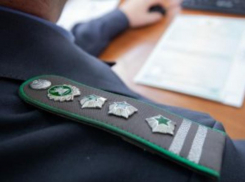 Среднеахтубинец позволил участку зарасти сорняками и лишился его по приговору суда