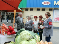 Волжан «загоняют» на муниципальные рынки