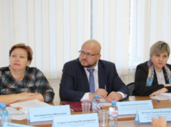 Депутаты Волжского думают о новых налогообложениях