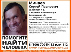 Пенсионера в черных кедах разыскивают в Волгоградской области