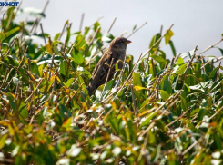 Солнечный четверг ожидает волжан