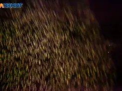 Все будет идти наперекосяк: гороскоп на 14 декабря