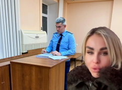 «Это наша маленькая победа»: дело «Дианы-Тур» не вернут в прокуратуру