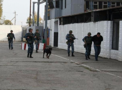 Волжский суд отказался смягчить наказание мажору, который сбил роллера в Волгограде