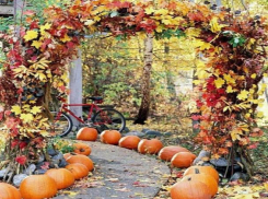 Советы от Блокнота: готовим сад к зимней спячке