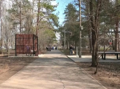 Юные волжане зарифмовали весну: в сквере «Школьный» отметили День поэзии