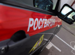 Елочные игрушки и одежда стали добычей злоумышленников в Волжском