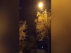 Волжский засыпало снегом в первый ноябрьский день: видео