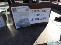Жители Волгограда собрали губернатору два ведра мелочи на билет в Магадан