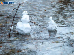 МЧС предупреждает о заморозках до -2 в Волгоградской области