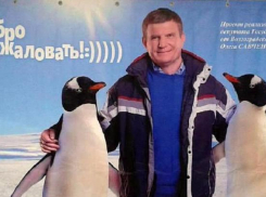 Пропавший в Антарктиде депутат Савченко привлек для избирательной кампании пингвинов