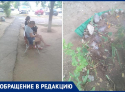 «Пьяная женщина разодрала клумбу и посыпала землю солью»: пенсионерку довели до слез хамством в Волжском