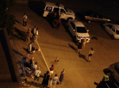 За убийство кота мужчина остался безнаказанным