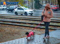 Дождь и слякоть: веселящий газ не поможет волжанам в пятницу