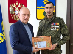 Главу Волжского наградили медалью «За помощь фронту»