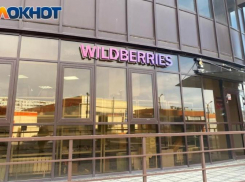 Закрытия пунктов-выдачи Wildberries ждут половина опрошенных волжан 