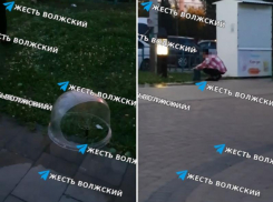 «Тетя моет тазик для попкорна в луже»: в Волжском распространяют скандальное видео из городского парка