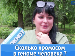 Вопросы из школьной программы поставили взрослых волжан в замешательство