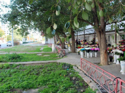 Депутаты взяли под контроль создание парковки возле цветочного рынка