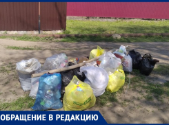 «Вынужден копить мусор пока не затухнет», - волжанин о работе администрации СНТ