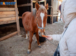 Праздник Венедиктов день отмечают волжане 27 марта: история и традиции