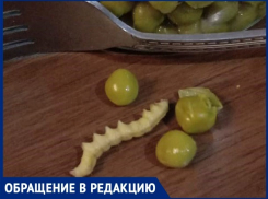 «В зеленом горошке обнаружилась маринованная гусеница»,- волжанка
