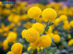 Слабая буря ожидает волжан в воскресенье