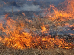 Туристов из Волжского призвали к ответственности