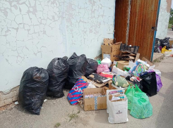В Волжском проведут мастер-класс по сортировке вторсырья