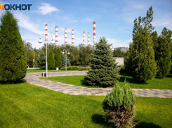 В Волжском воскресенье будет солнечным: прогноз погоды