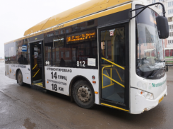 2,5 года волжанка высуживала деньги с автоколонны после падения 