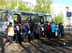 Автобусы вышли на смену маршруткам в Волжском