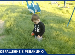 Дети делят площадку с клещами: УК «МПЖХ» игнорируют просьбы волжан покосить траву