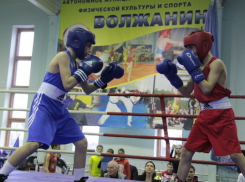 Рекордное количество спортсменов было на соревнованиях по боксу в Волжском