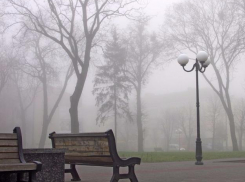 Погода в Волжском: все выходные будет держаться туман и сильный ветер