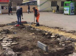 Две новые клумбы появились на центральной улице Волжского