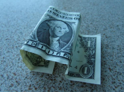 Волжане стали свидетелями резкого взлета цены доллара