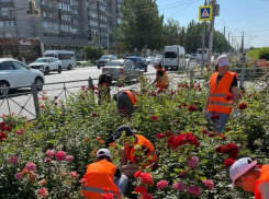 Подростки могут работать во время летних каникул в Волжском