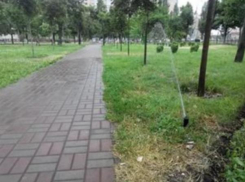 Полив в Волжском стал лучше