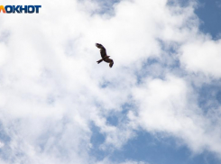 Гроза и град накроют Волгоградскую область: предупреждение