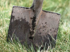 Пенсионер из-за большой любви убил избранницу и закопал в лесу под Волгоградом