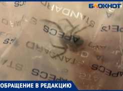 «Повылезали!» - волжанку начали терроризировать пауки