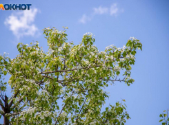 Не спешить с принятием решений в среду: астрологический прогноз для волжан