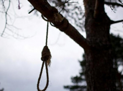 Волгоградка отписала имущество на подруг и повесилась