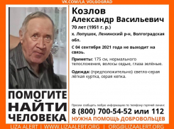 Под Волжским без вести пропал мужчина: 5 дней не выходит на связь