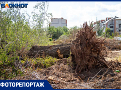 В сквере на пересечении Молодежной и Набережной началась подготовка к созданию пространства для «серебряных» волонтеров