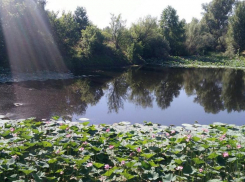 Директору парка «Волго-Ахтубинская пойма» грозит арест до 4 месяцев