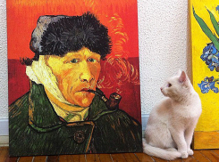 Водил меня Серёга на выставку Ван Гога: картины великого художника покажут в Волжском 