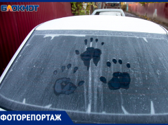 Первые морозные узоры в Волжском: природа примеряет зимний наряд