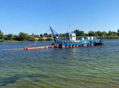 800 тысяч кубометров тины выловили близ Волжского
